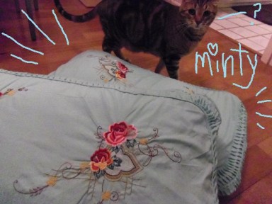 Atticus presents my new pillowcases. :P