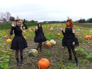 gloomth models pumpkin patch