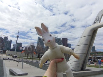 gloomth toronto bunny