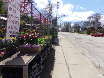 florist toronto