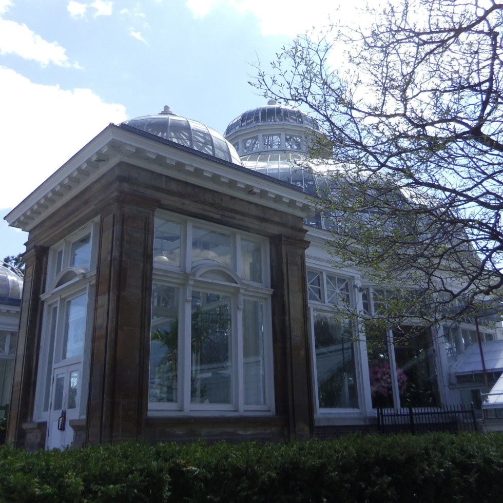 allan gardens toronto