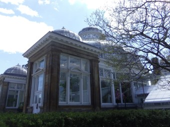 allan gardens toronto