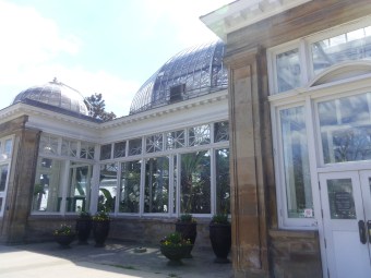 allan gardens toronto