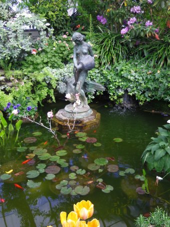 allan gardens fishpond fountain goldfish