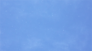 puffy tree fluffs floating gif