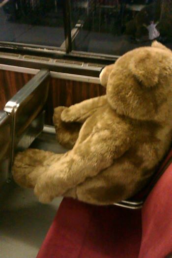giant teddy bear on transit