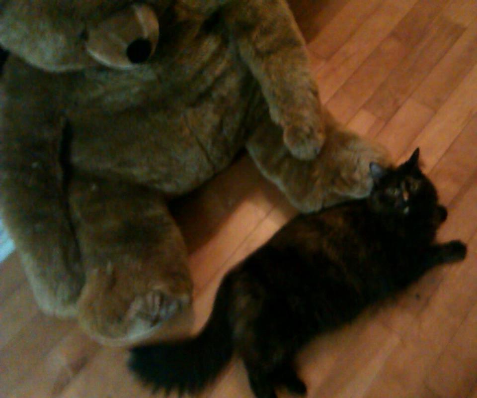 giant bear and goblin