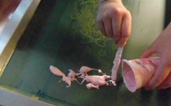 gloomth screen printing