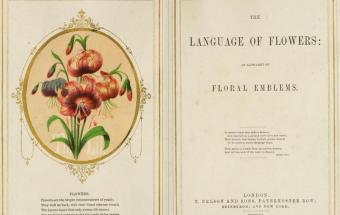 the language of flowers victorian