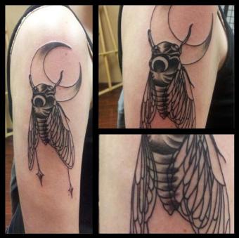 sara macneil cicada tattoo
