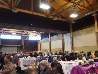 hamilton cat fanciers cat show 2015