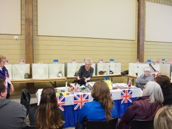 hamilton cat show 2015