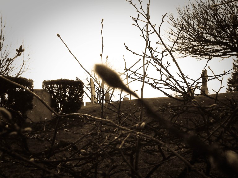 cemetery toronto tombstones
