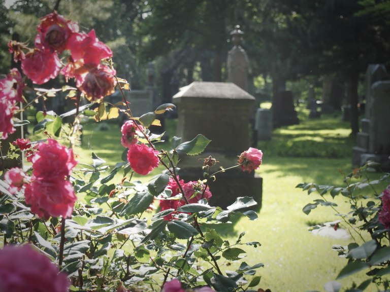 Toronto Necropolis