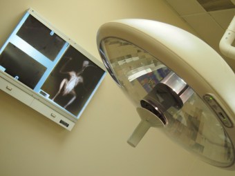 toronto wildlife centre open house 2015