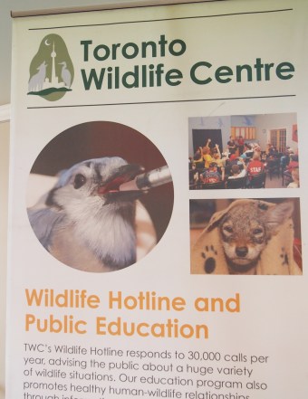 http://www.torontowildlifecentre.com/donate/wish-list/