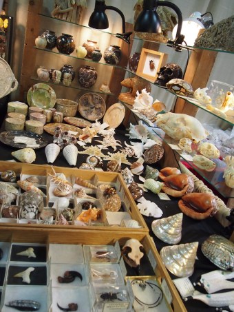 gemboree rockhound bancroft 2015