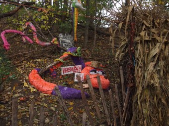 andrews scenic acres ontario