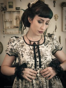 gloomth toile bird dress