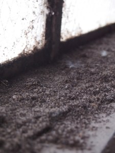 hearn generating station toronto canada