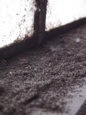 hearn generating station toronto canada