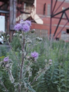hearn power plant toronto
