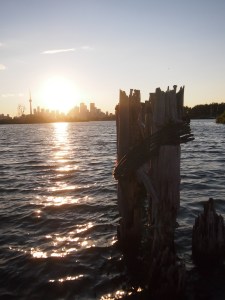 tommy thompson park toronto