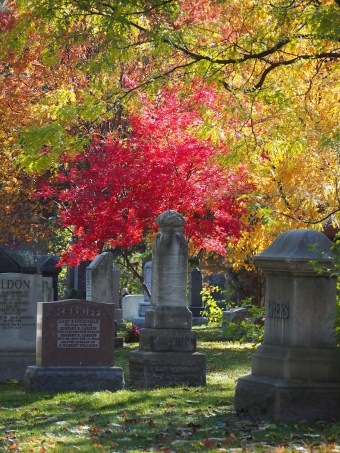 mount pleasant cemetery autumn toronto