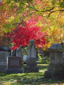 mount pleasant cemetery autumn toronto