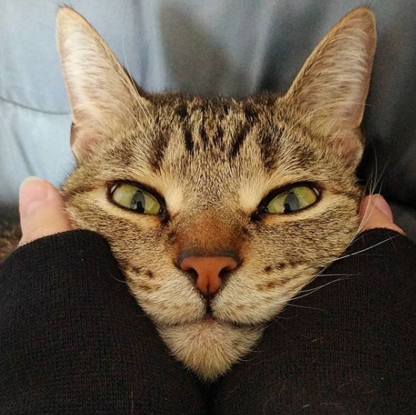 drac makens makeup interview