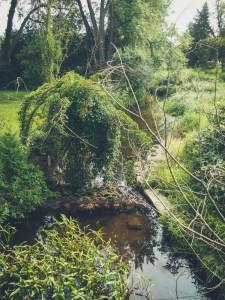 guelph yorklands green hub natural