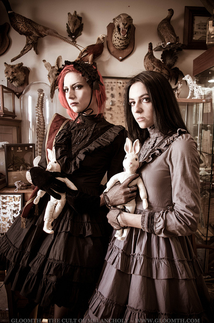 gothic victorian fashion gloomth taxidermy cabinet of curiosities