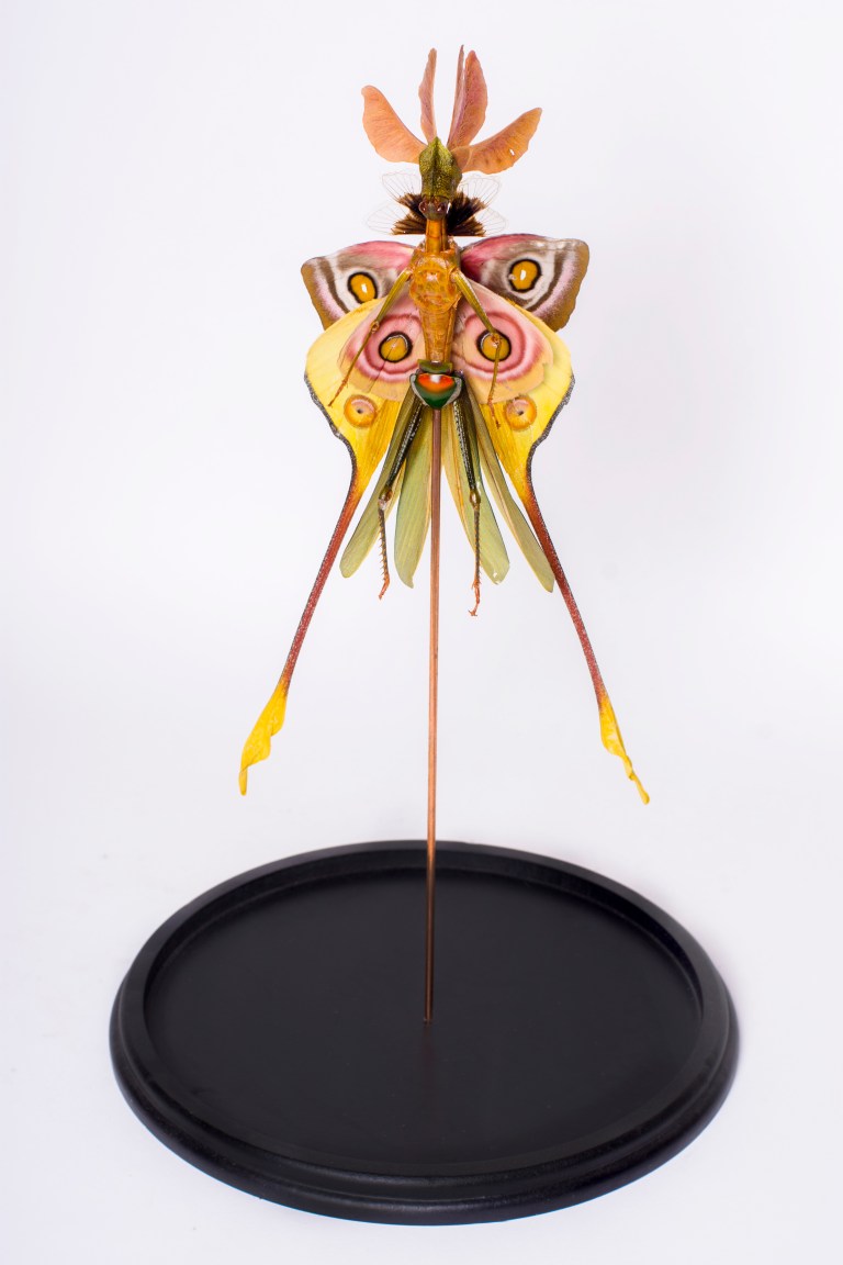 Cedric Laquieze sculpture